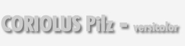 Coriolus